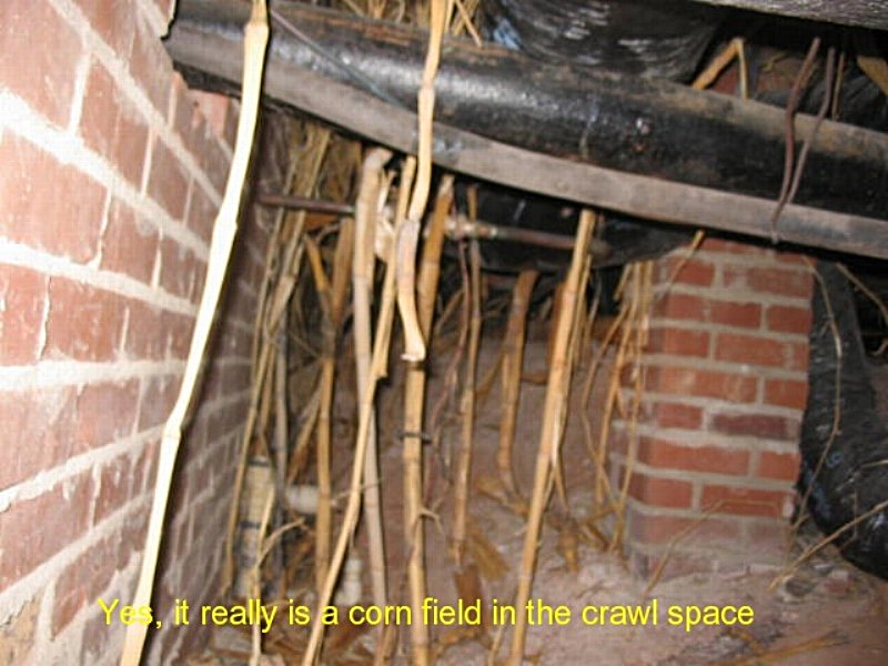Hardesty Home Inspection Services photo 4